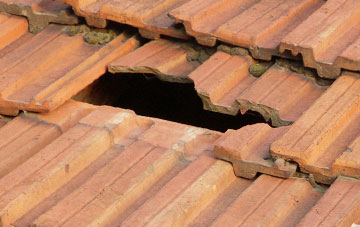 roof repair Helens Bay, North Down